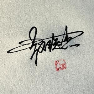 高端王者签名纸质版套餐